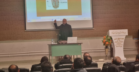 برگزاری دوره آموزشی ضمن خدمت سلامت دهان و دندان برای کادر آموزش و پرورش و دبیران